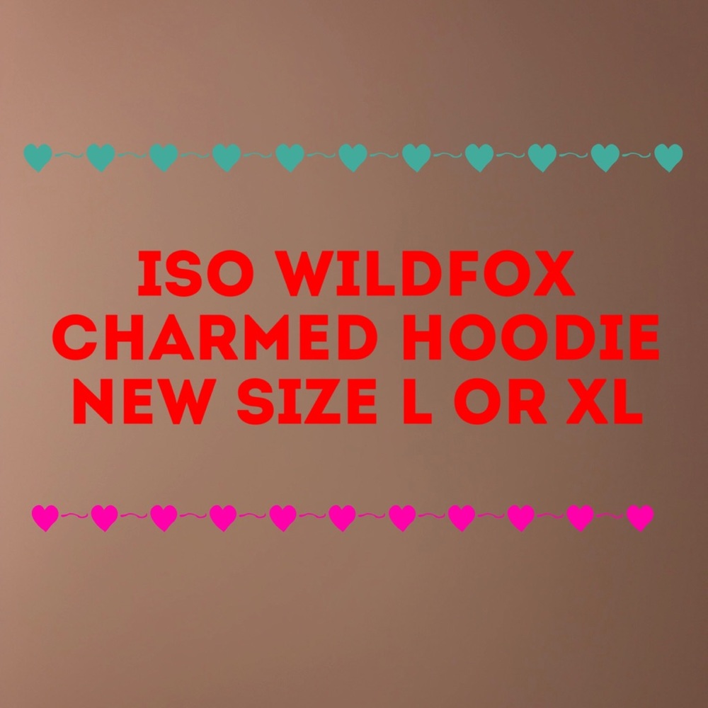 LOOKING FOR Wildfox Charmed Hoodie Size XL